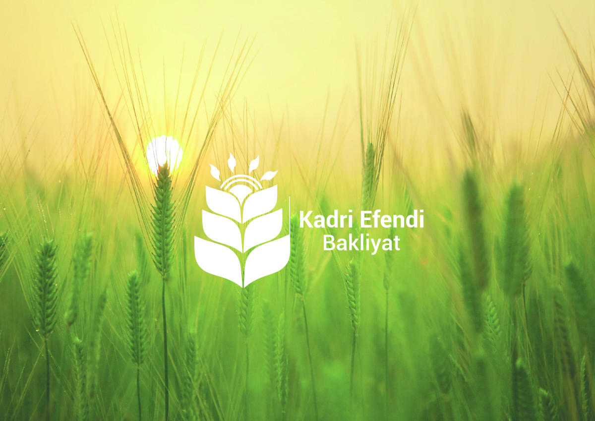 Tasarlayan BedriyePAKIR-Kadri efendi