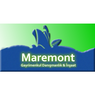 Firma İçin Logo ve Kartvizit Çalışması  yarışmasına tasarımcı mediapixel tarafından sunulan  tasarım 