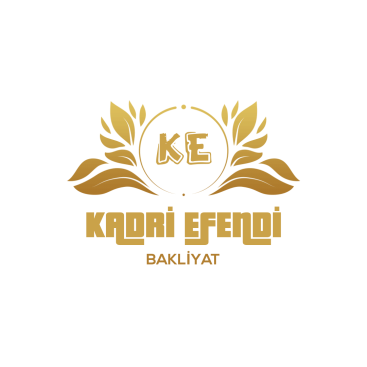 Kadri efendi yarışmasına tasarımcı tasarlacini tarafından sunulan  tasarım 