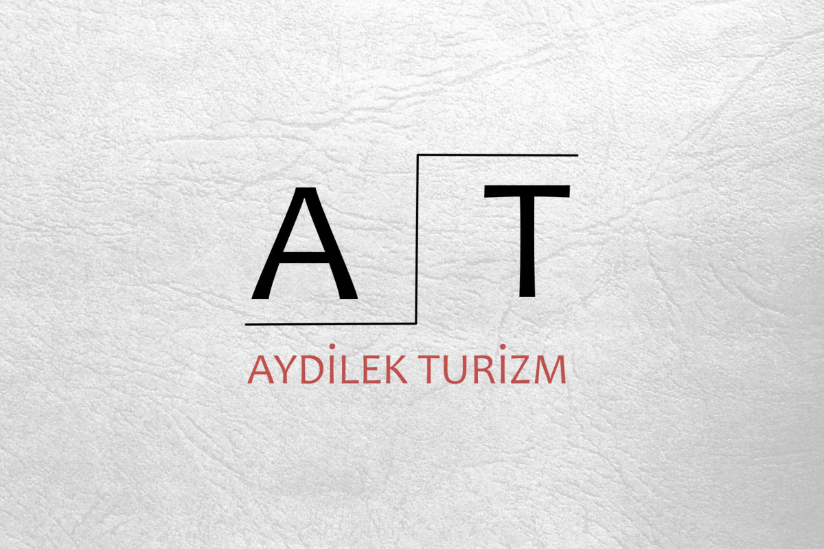 Tasarlayan Eagle-TURİZM TAŞIMA FİRMAMIZA LOGO VE KURUMSAL