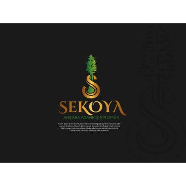 Lüks ahşap yarışmasına tasarımcı Etrah™ tarafından sunulan  tasarım 