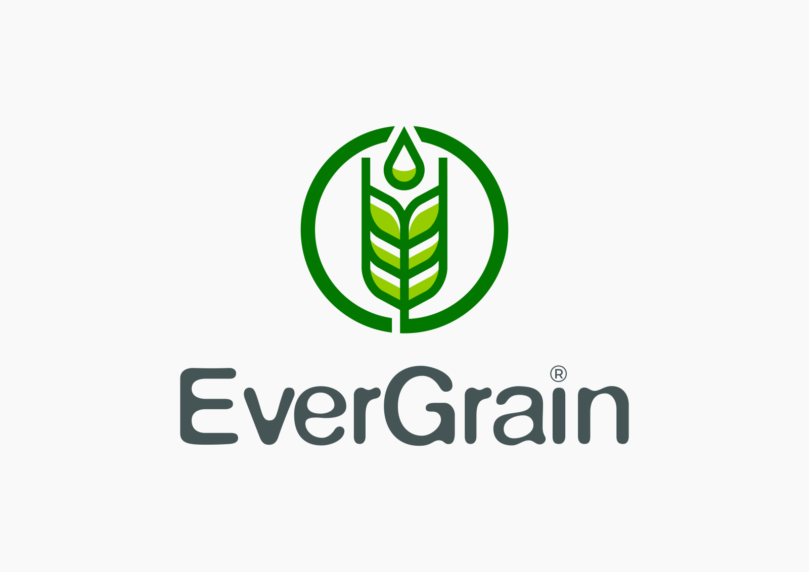 Tasarlayan MS™-EverGrain LLC
