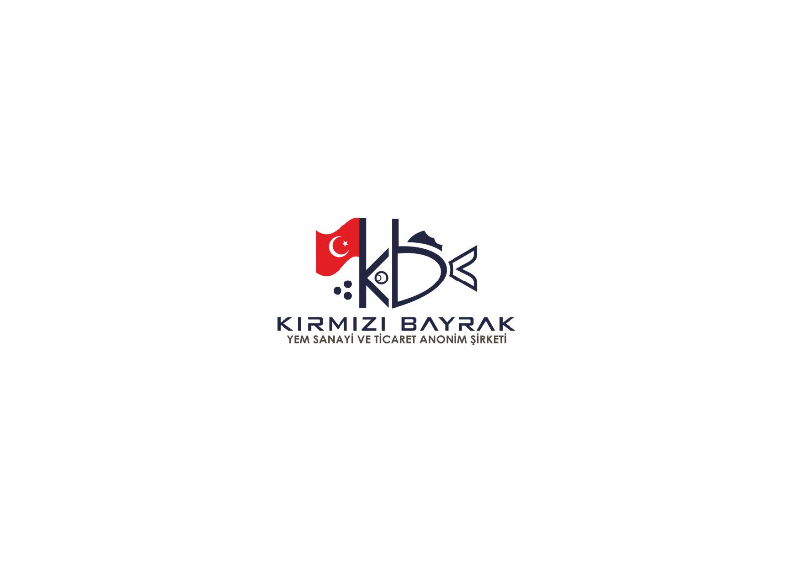 Tasarlayan Memo-Türkiye balıkçılığı kurtaracak firma 