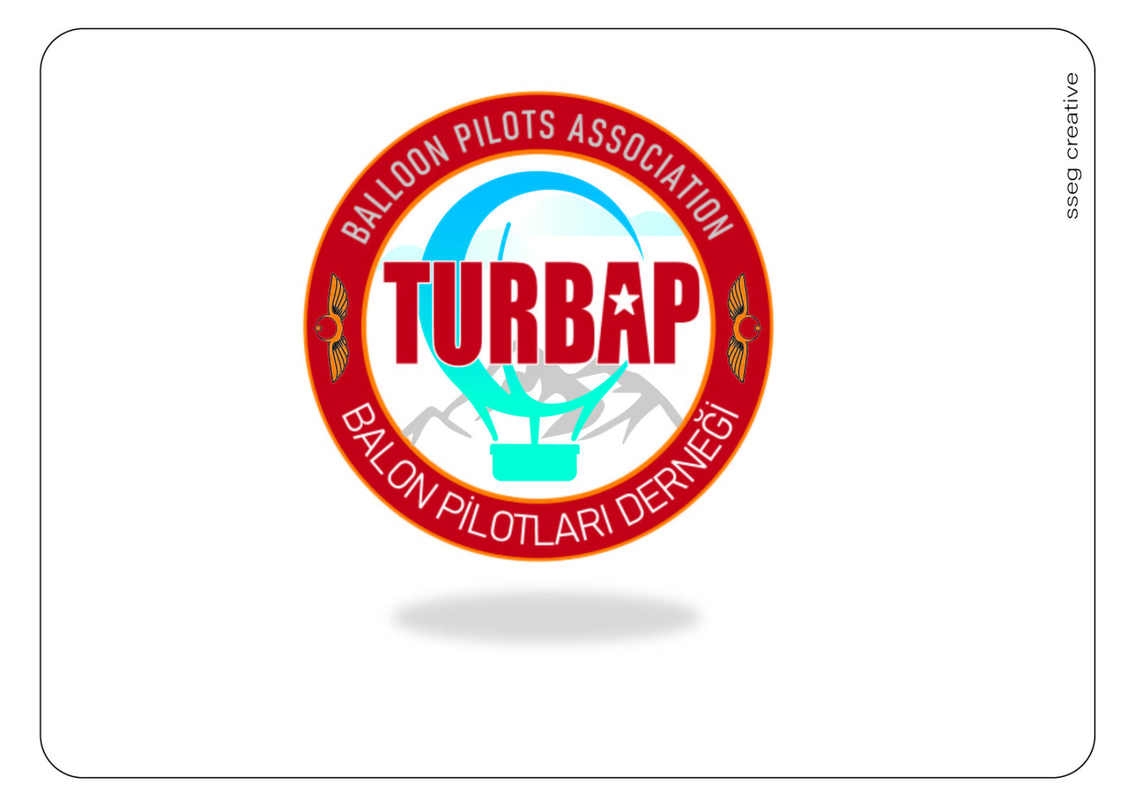 Tasarlayan ssegcreative-HAVACILIK SEKTÖRÜ