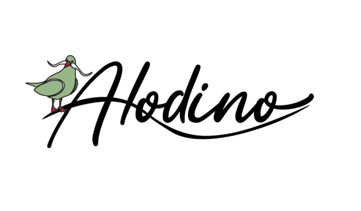 Tasarlayan Zeynepuckardes-(alodino.com) e ticaret sitesi için 