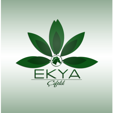 Çiftliğimize logo arıyoruz yarışmasına tasarımcı orhanafsin tarafından sunulan  tasarım 