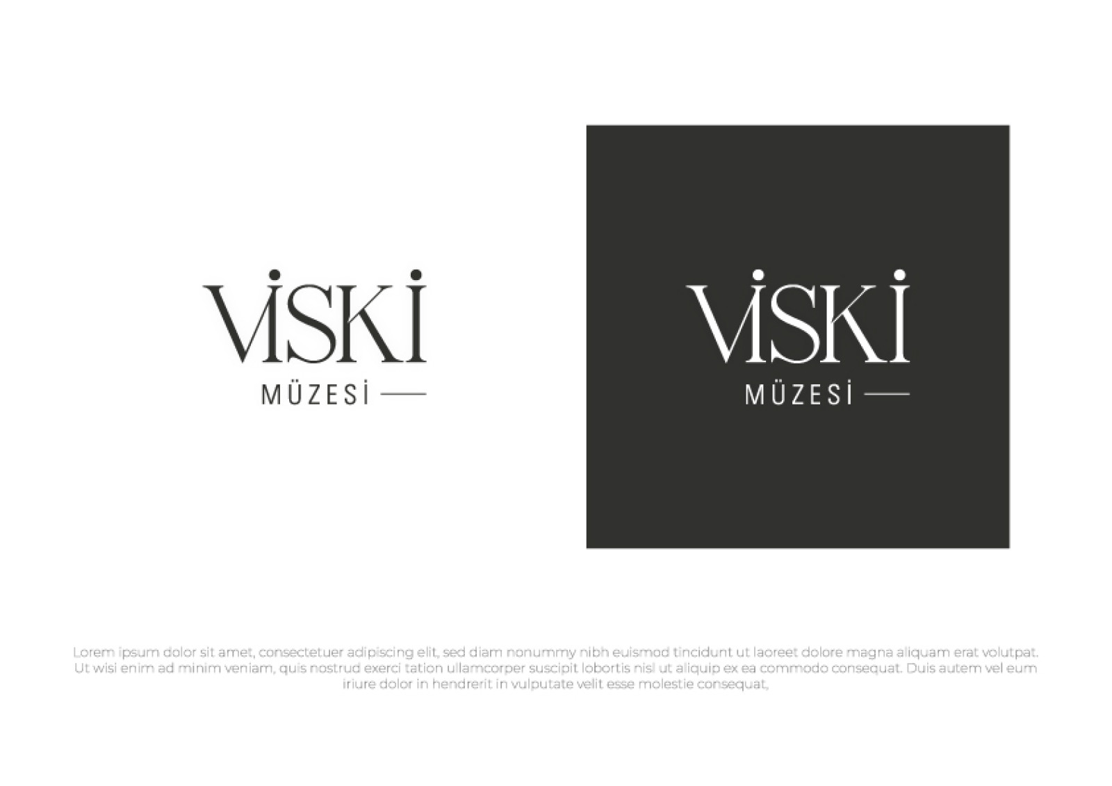 Tasarlayan dcreagraph-VİSKİ MÜZESİ LOGO