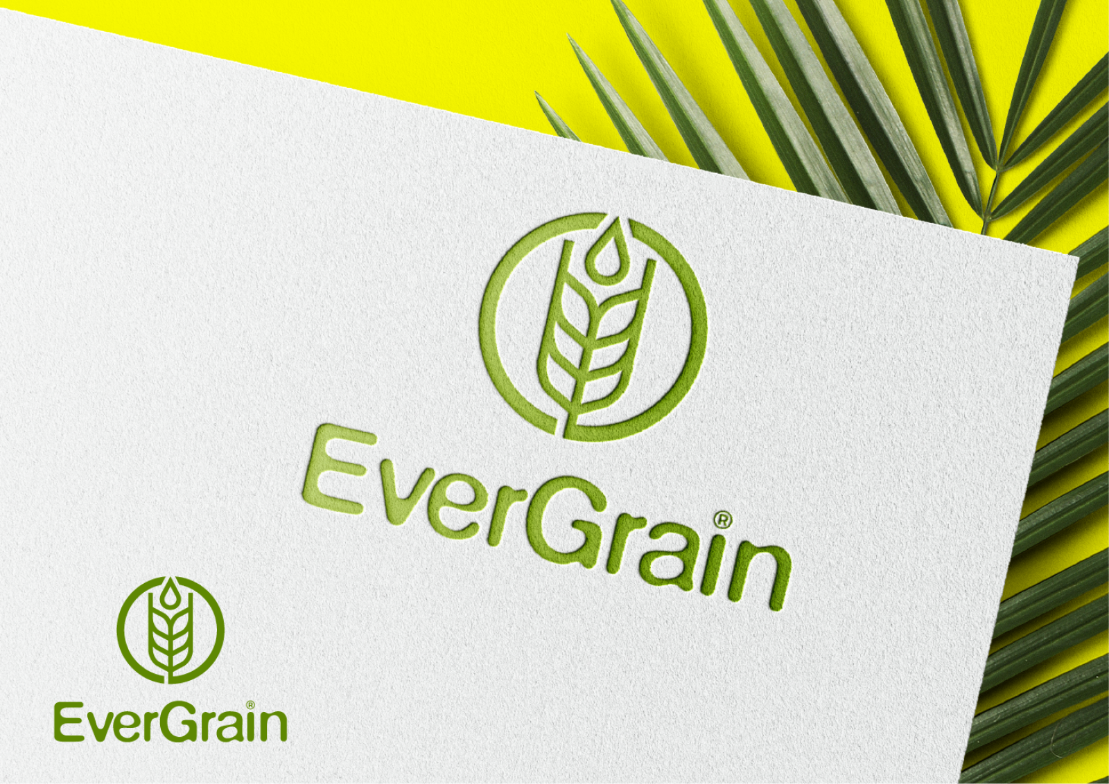 Tasarlayan MS™-EverGrain LLC