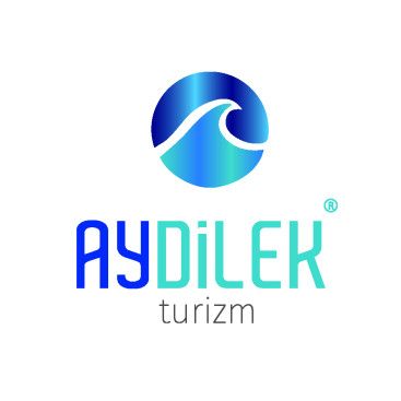 TURİZM TAŞIMA FİRMAMIZA LOGO VE KURUMSAL yarışmasına tasarımcı kubrart tarafından sunulan  tasarım 