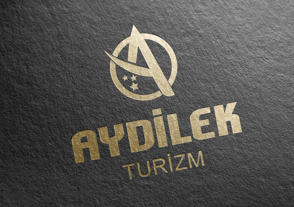 Tasarlayan siliconvalley-TURİZM TAŞIMA FİRMAMIZA LOGO VE KURUMSAL