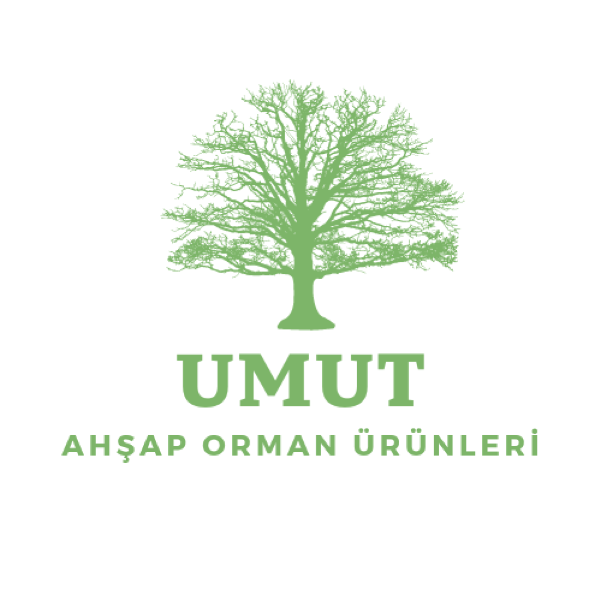 Tasarlayan RAKY-ilk logo ilk tasarım