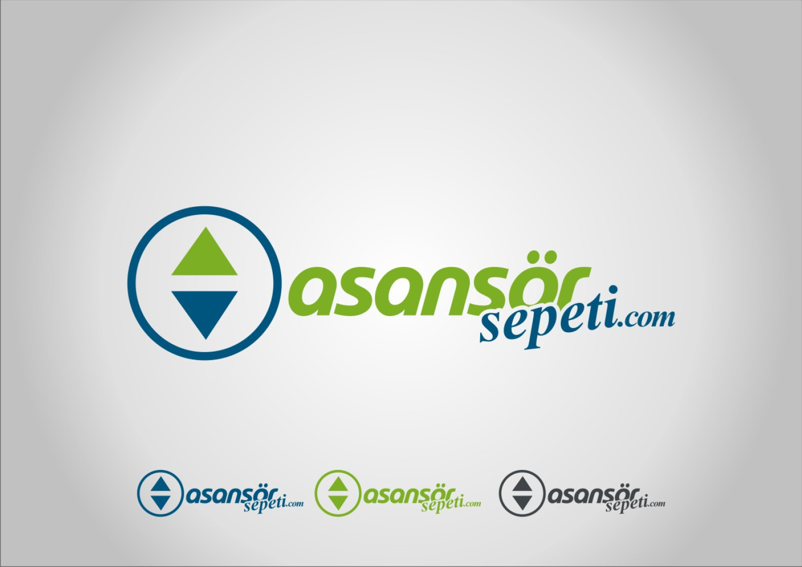 Tasarlayan RΛPİDO-asansörpaketi.com  logosunu arıyor.