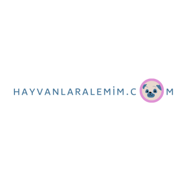 Hayvanlara Dair Herşey !!!  yarışmasına tasarımcı Dünyalı tarafından sunulan  tasarım 