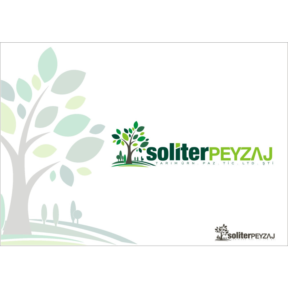  tasarlatasarlat.com Kazanan