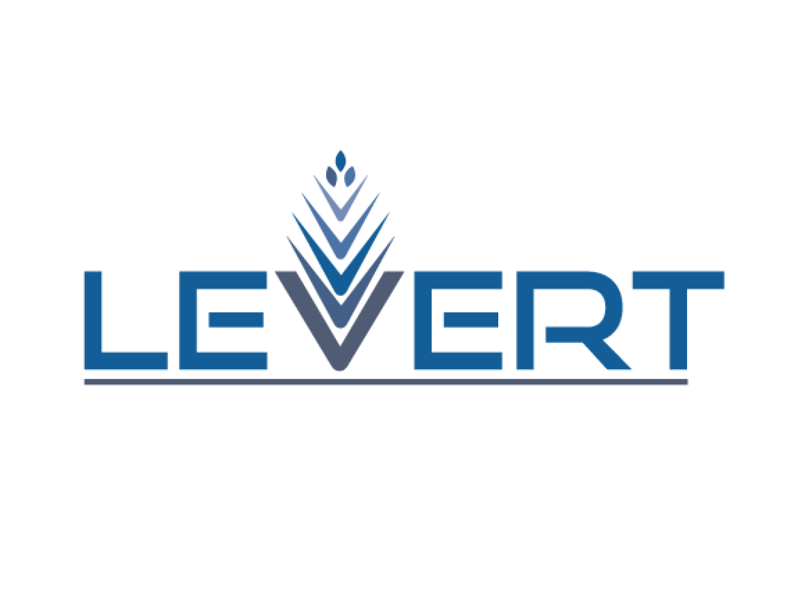 Tasarlayan ŞİRİN-Zarif ve Ciddi Logo Design