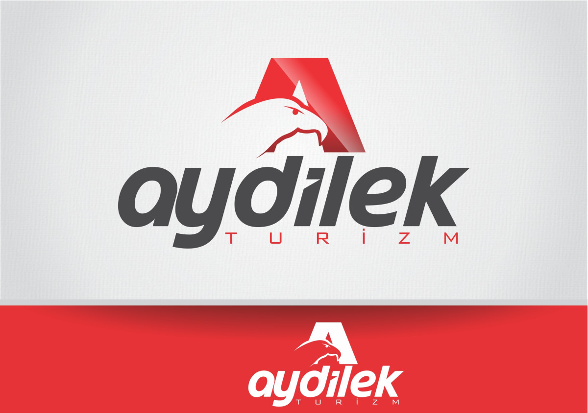 Tasarlayan RΛPİDO-TURİZM TAŞIMA FİRMAMIZA LOGO VE KURUMSAL