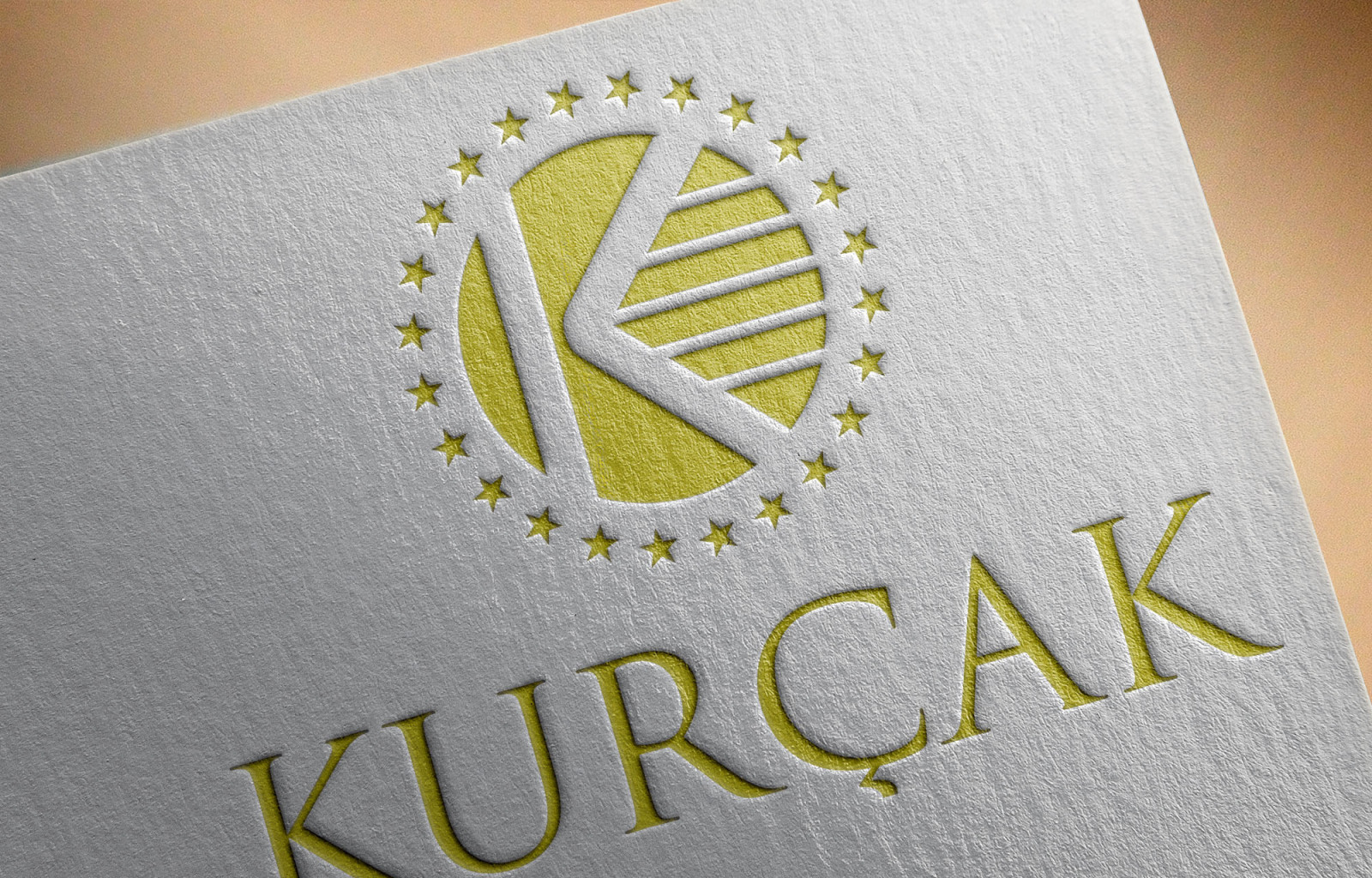 Tasarlayan Kızılelma_03-Firmamıza modern bir logo arıyoruz