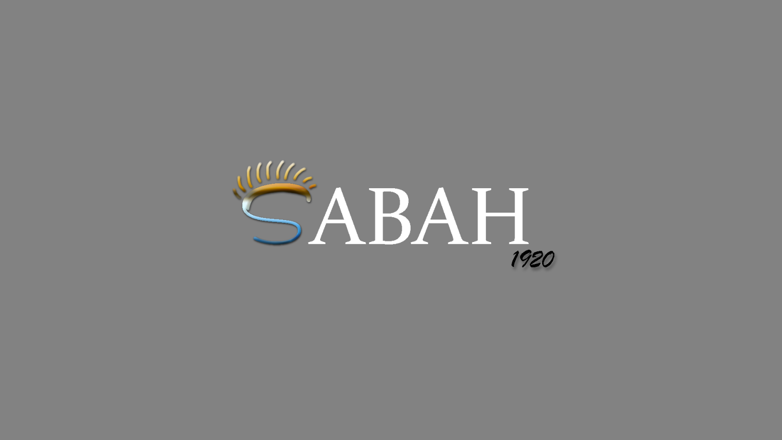 Tasarlayan emirberk-GERÇEKTEN İYİ BİR LOGO BEKLENTİMİZ VAR.