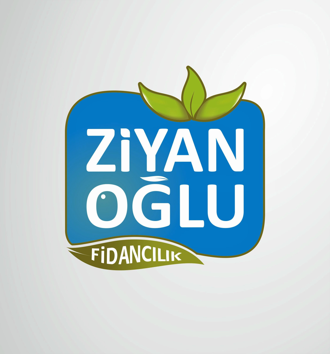Tasarlayan PΛЯROT™-GÜZEL,ESTETİK VE USTACA YAPILMIŞ