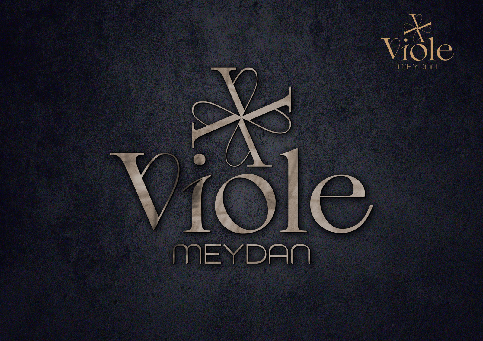 Tasarlayan merter-Markamız için yeni logo