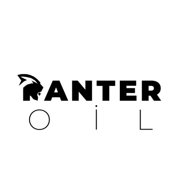 Petrol ve Lastikçi Logosu yarışmasına tasarımcı transferoldu tarafından sunulan  tasarım 