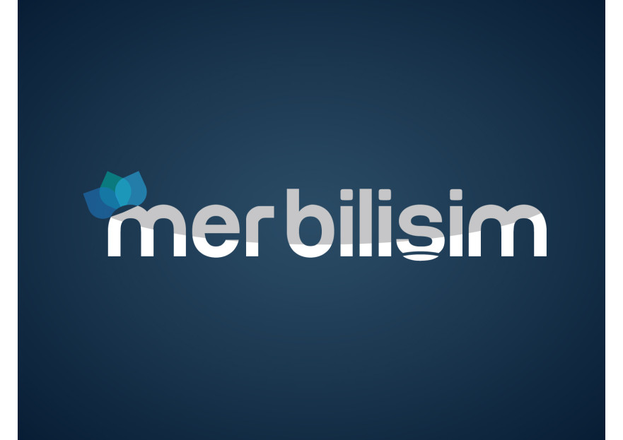 Bilişim Firmasına Logo Arıyoruz yarışmasına tasarımcı Amasio Design tarafından sunulan  tasarım 