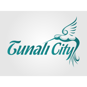 İnşaat ve Ticaret yarışmasına tasarımcı karadenizli__61 tarafından sunulan  tasarım 