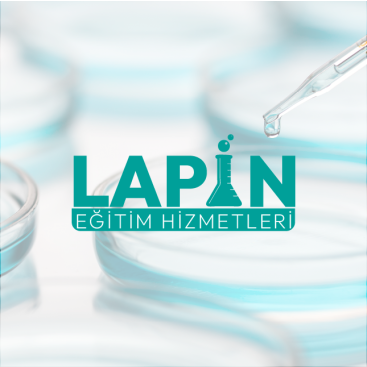 Lapin Eğitim Hizmetleri  yarışmasına tasarımcı sıfırsekizreklam tarafından sunulan  tasarım 