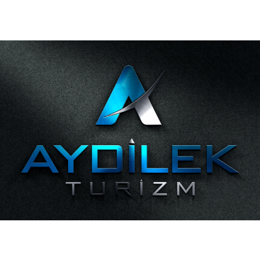 TURİZM TAŞIMA FİRMAMIZA LOGO VE KURUMSAL yarışmasına tasarımcı baylishka tarafından sunulan  tasarım 