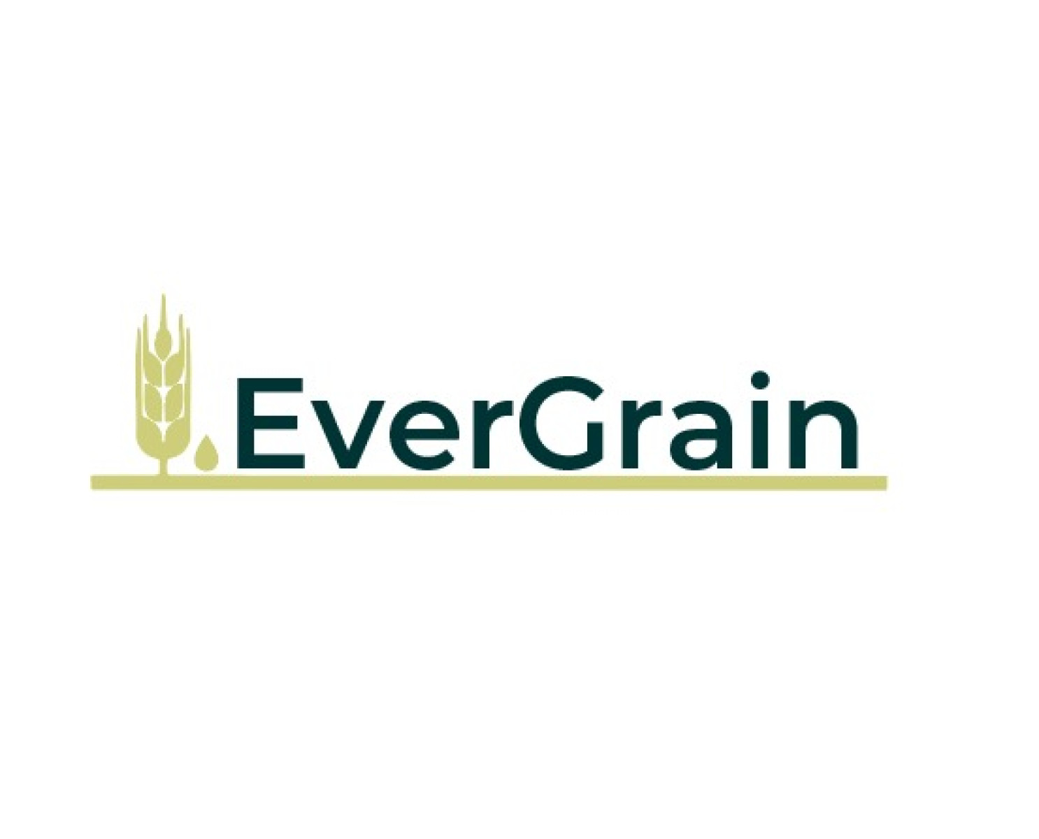 Tasarlayan mbeyzap-EverGrain LLC