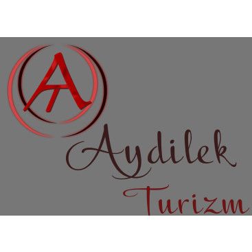 TURİZM TAŞIMA FİRMAMIZA LOGO VE KURUMSAL yarışmasına tasarımcı KnockOut tarafından sunulan  tasarım 