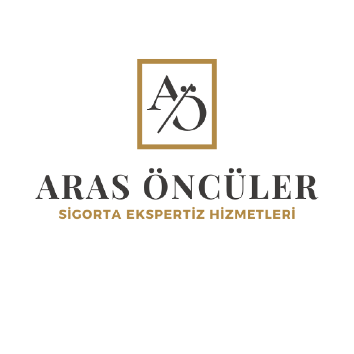 Tasarlayan DUMANO-KURUMSAL LOGO TASARIMI
