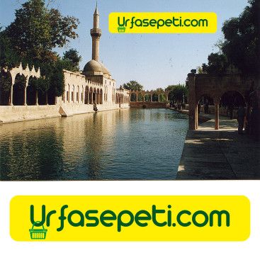 UrfaSepeti.com internet sitemize logo yarışmasına tasarımcı Pineappleᵀᴹ tarafından sunulan  tasarım 