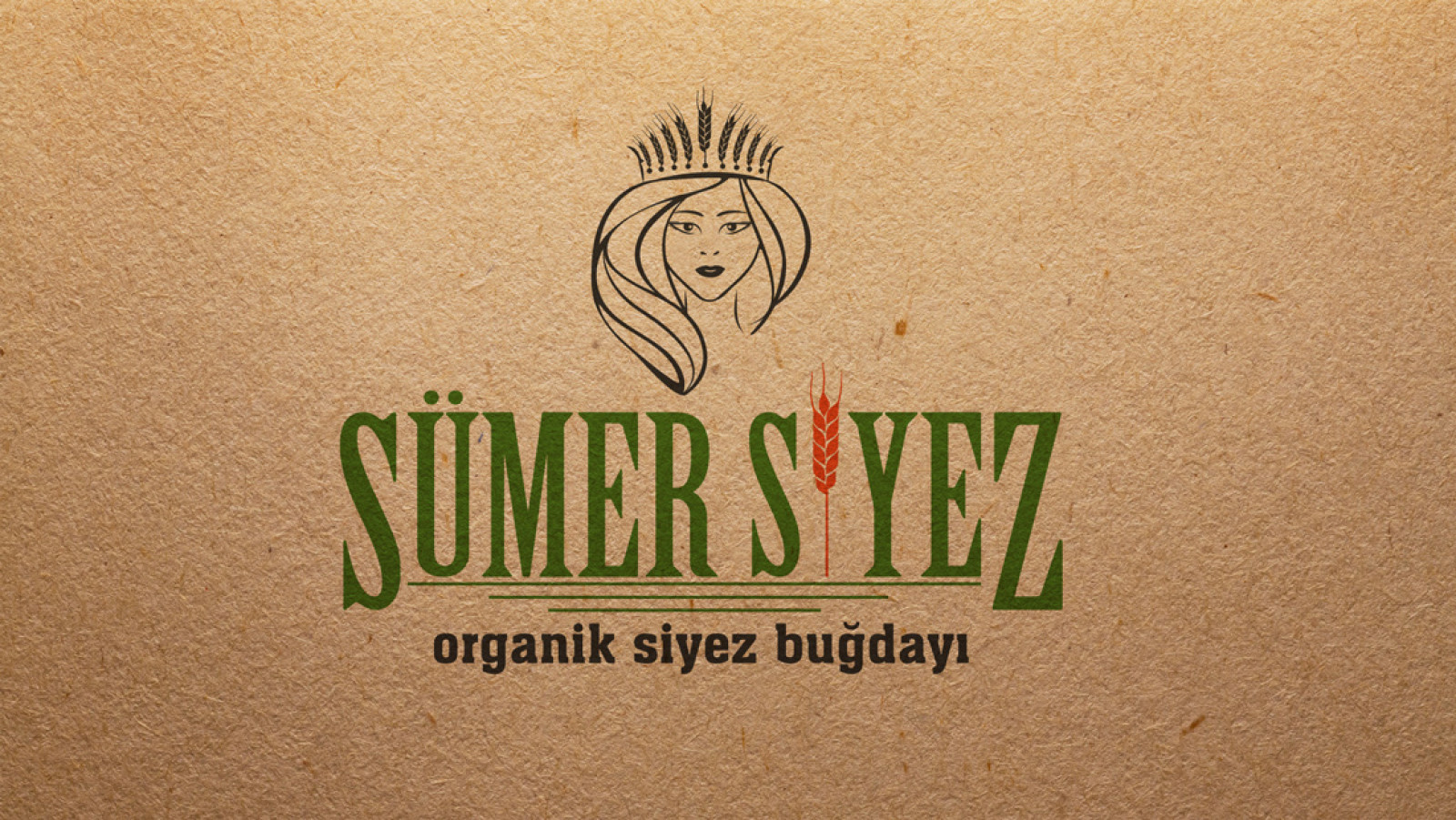 Tasarlayan mycreative-SÜMER SİYEZ LOGO TASARIMI