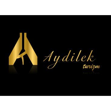 TURİZM TAŞIMA FİRMAMIZA LOGO VE KURUMSAL yarışmasına tasarımcı KnockOut tarafından sunulan  tasarım 