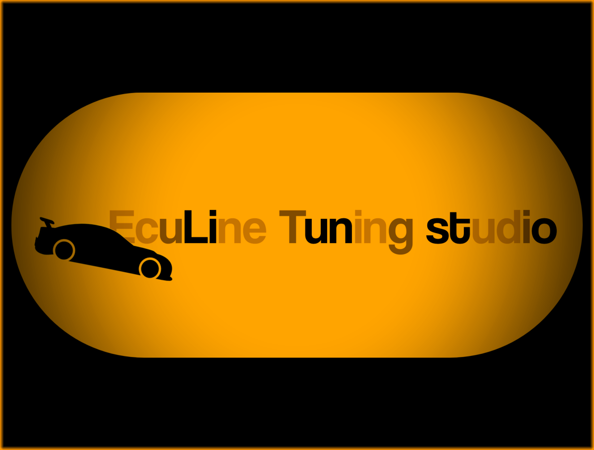 Tasarlayan CS™-Ecu performance and Chip Tuning