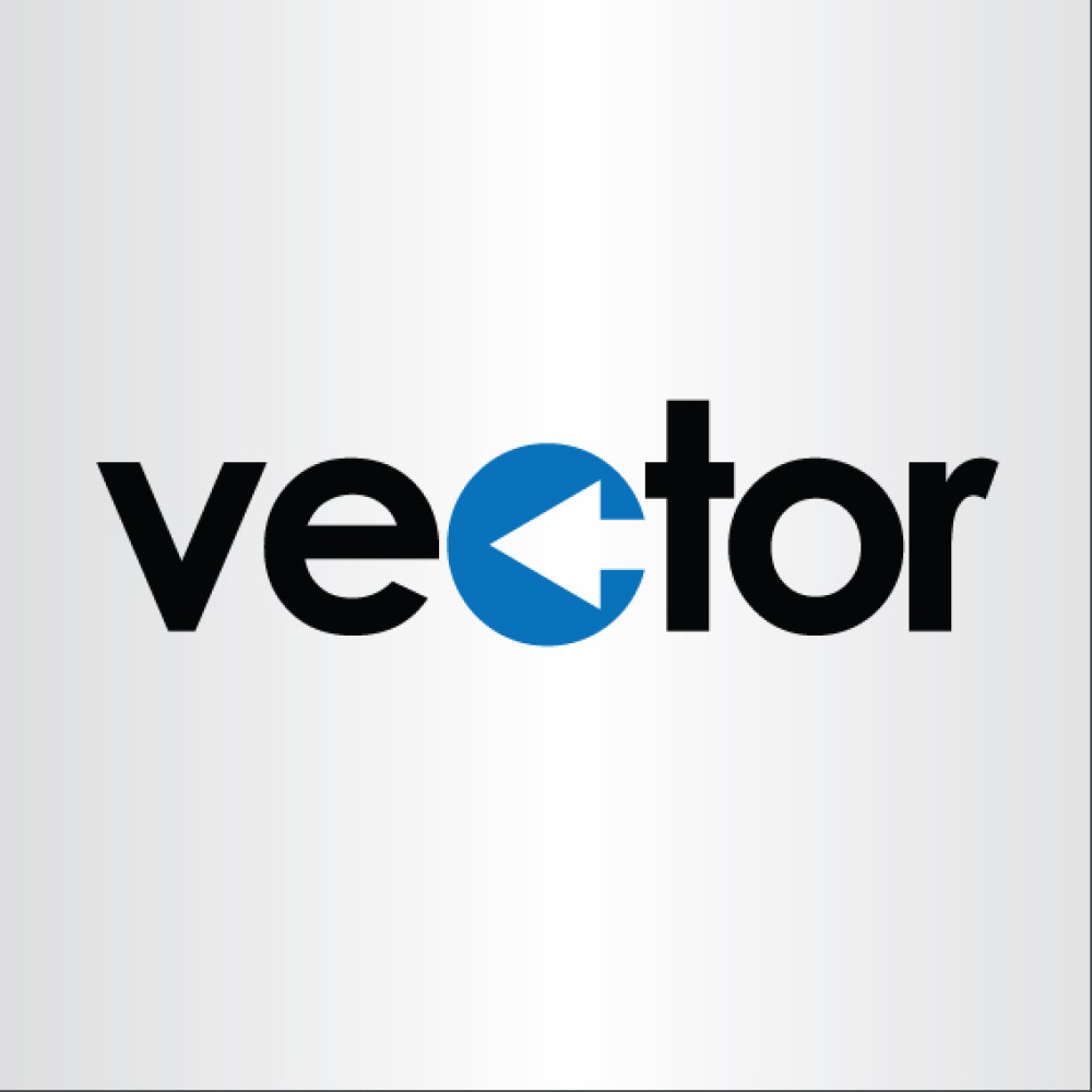 VECTOR ADINA LOGO & KURUMSAL KIMLIK