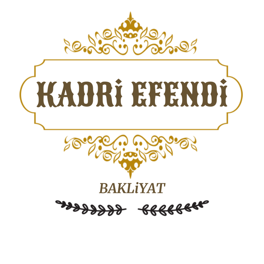 Kadri efendi yarışmasına tasarlacini tarafından girilen tasarım