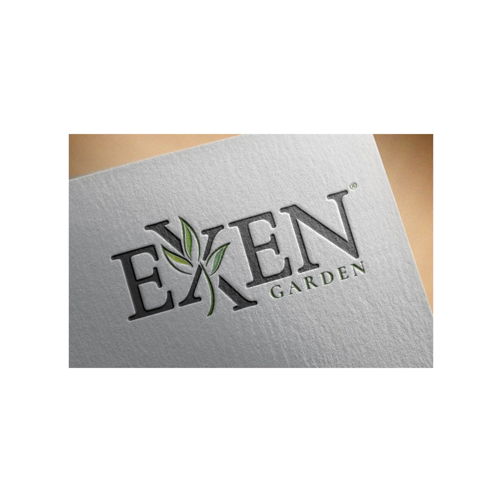 EXEN LOGO ÇALIŞMASI