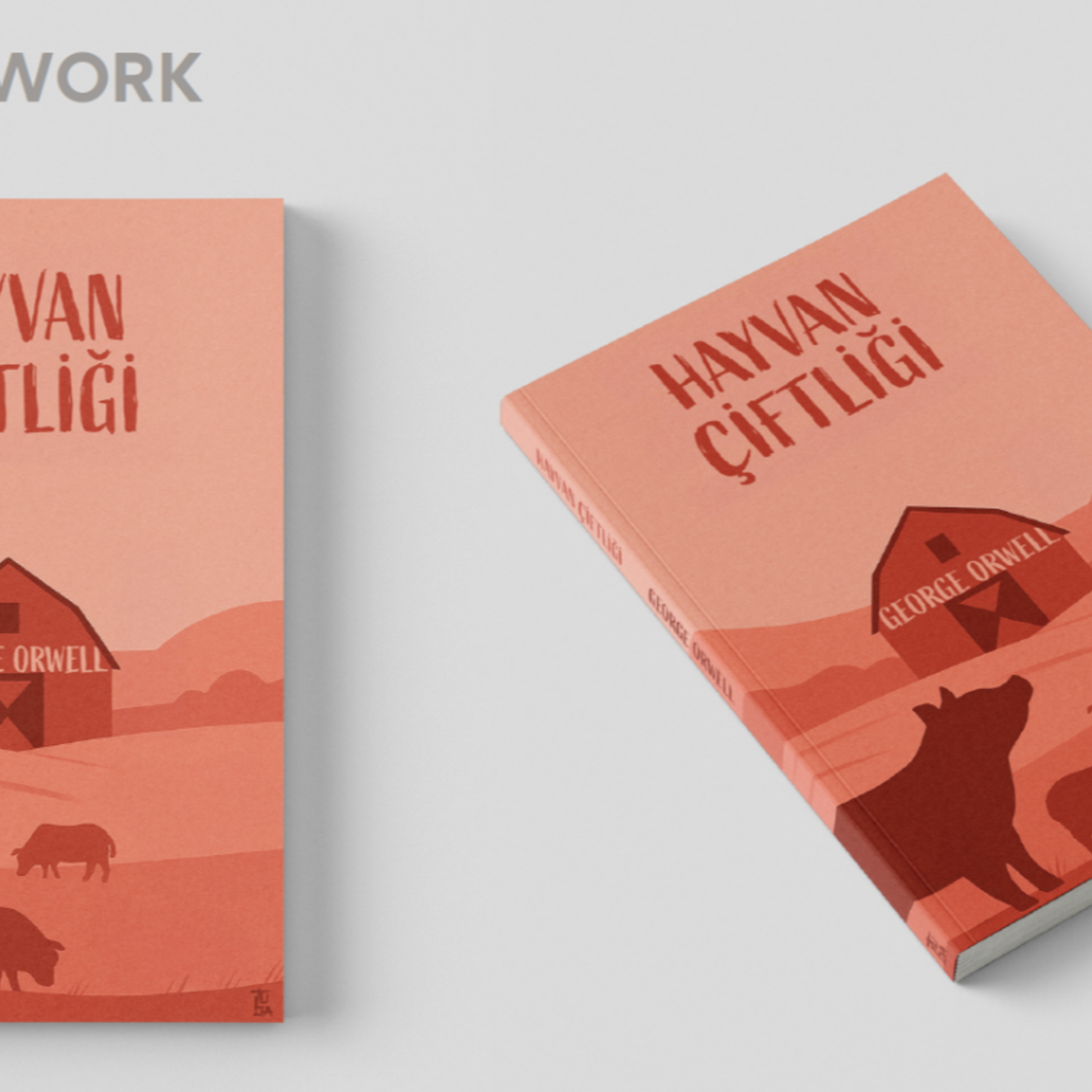 Kitap Kapağı Tasarımı