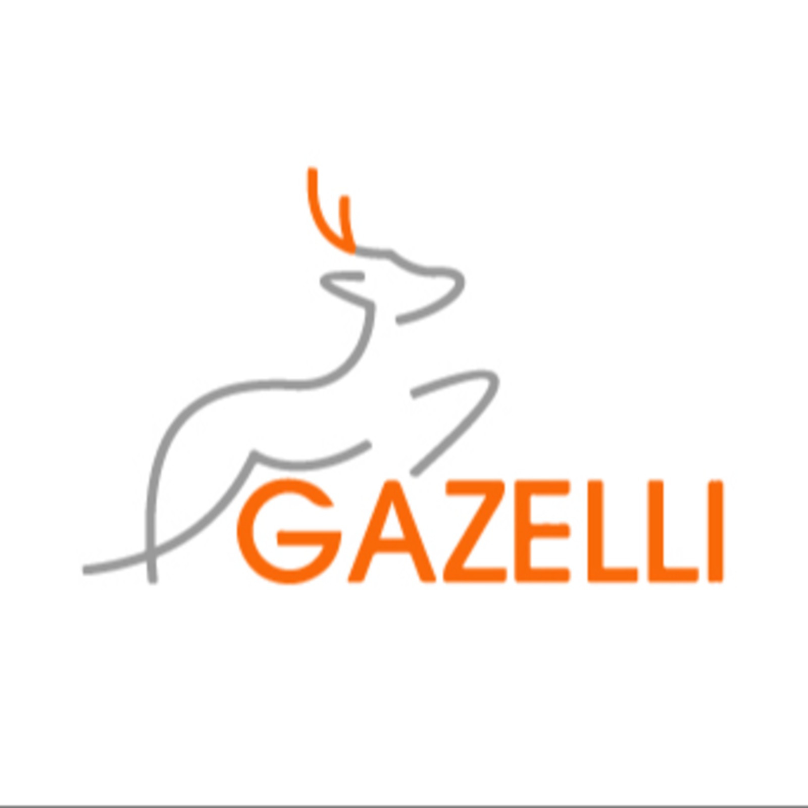 Logo Çalışması Gazelli Dış Ticaret