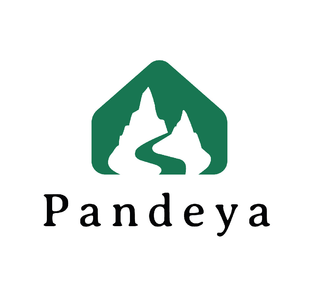 Pandeya logo tasarımı