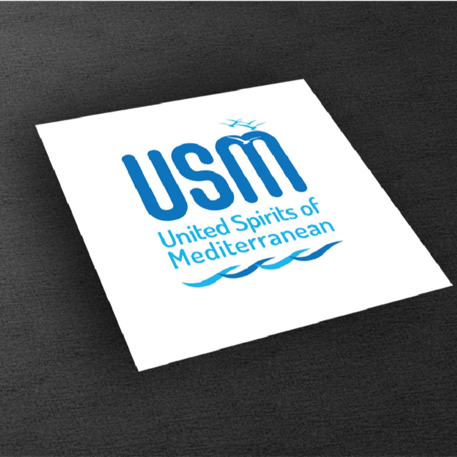 USM logo