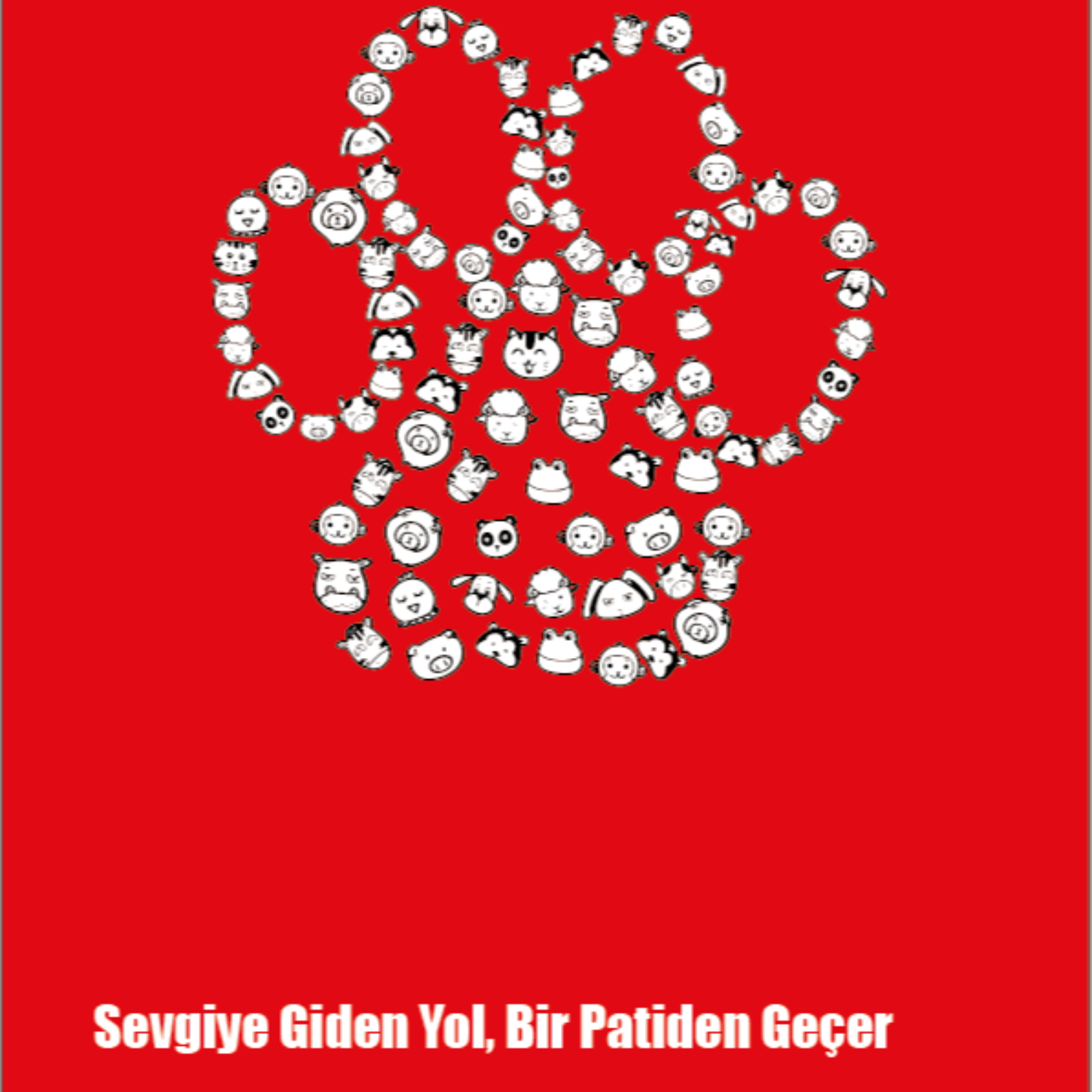 Portfolyo