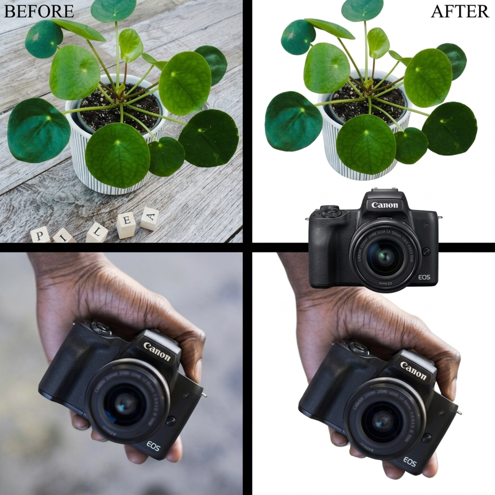 Profesyonel Ürün Fotoğrafı Düzenleme ve Dekupe