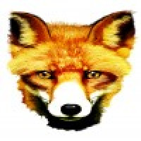 Kullanıcı görseli