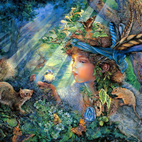 Kullanıcı görseli