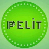 Pelit Project