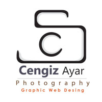cengizayar