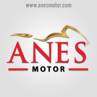 anesmotor